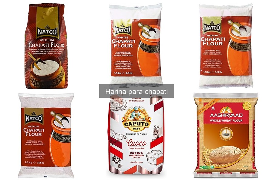 Alternativas a la harina para chapati: opciones deliciosas