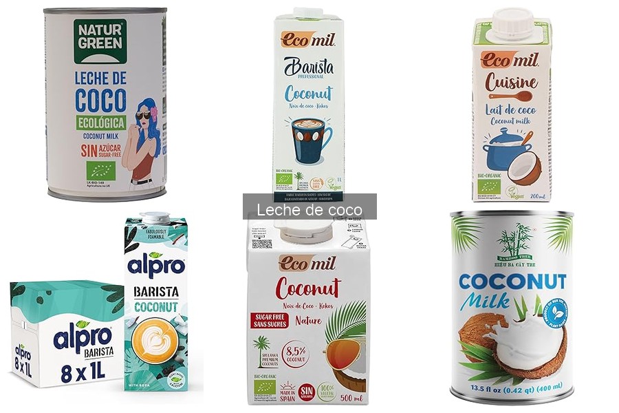 Alternativas a la Leche de Coco para Intolerantes a la Lactosa