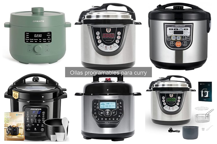 ** Alternativas a la olla programable para preparar curry