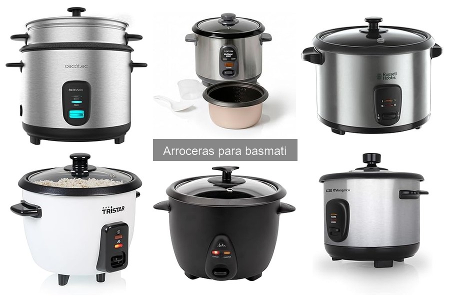 Alternativas a las arroceras para basmati: descubre opciones
