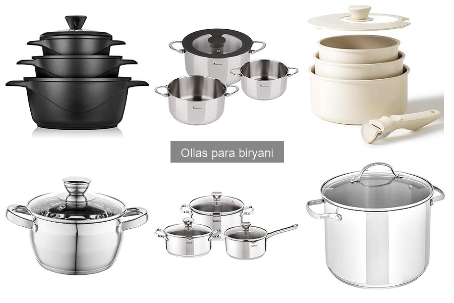 Alternativas a las ollas para biryani: cocina casera deliciosa