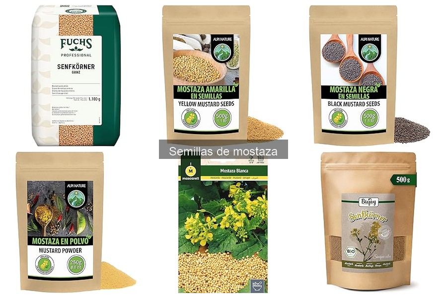 Alternativas a las Semillas de Mostaza en la Cocina