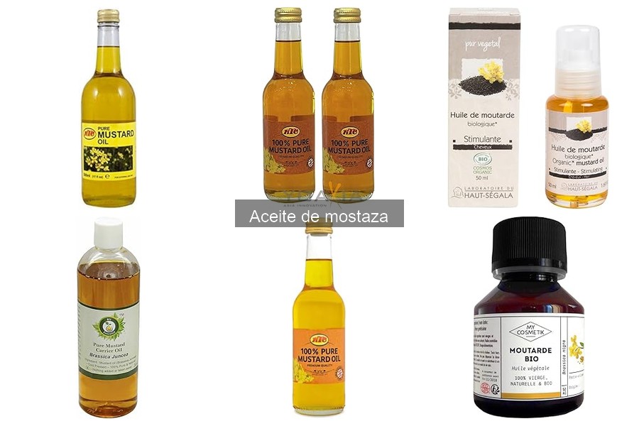 Alternativas al aceite de mostaza para recetas indias