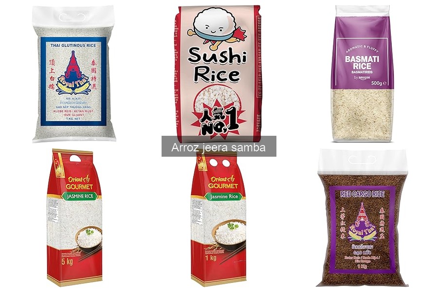 Alternativas al arroz jeera samba: descubre opciones ideales
