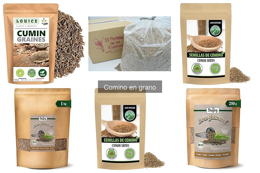 Alternativas al comino en grano para tus recetas