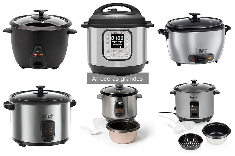 Arroceras grandes vs pequeñas: ¿cuál elegir para tu hogar?