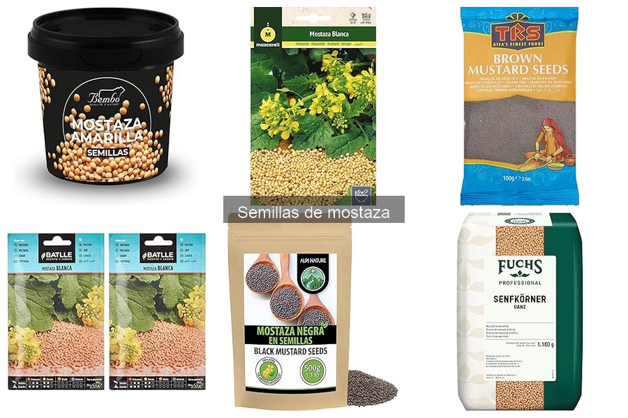 Beneficios de las Semillas de Mostaza para la Salud