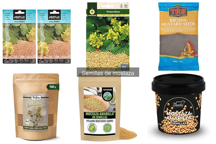 Cómo almacenar semillas de mostaza correctamente