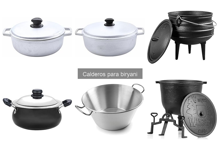Cómo Cocinar Biryani Perfecto con un Caldero