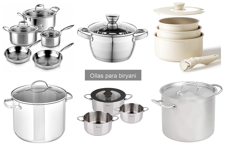 Cómo elegir la mejor olla para biryani: guía de compra