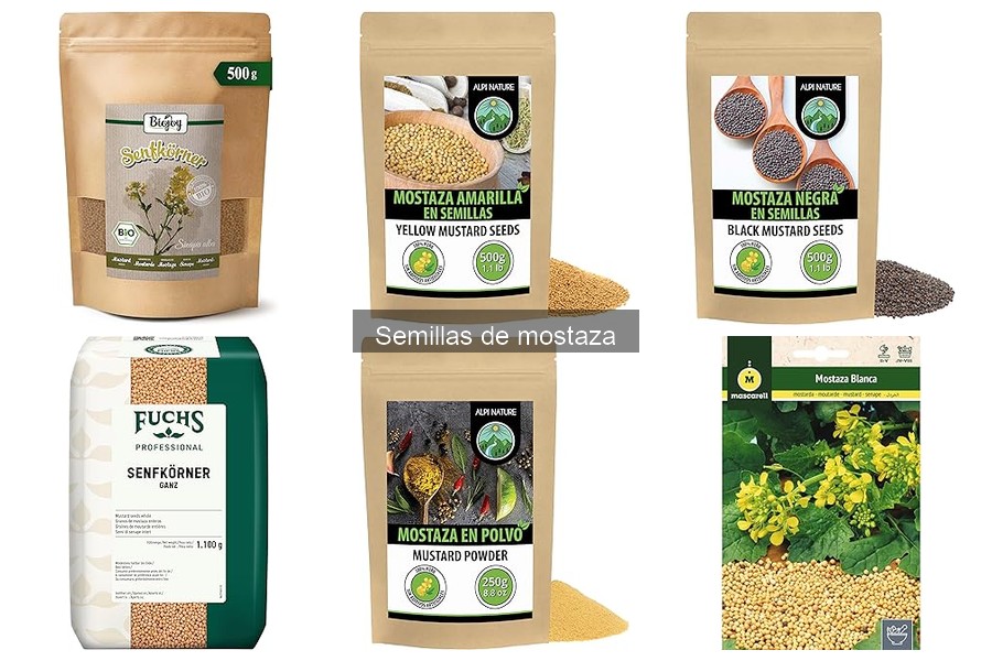 Cómo hacer aceite de mostaza casero fácilmente