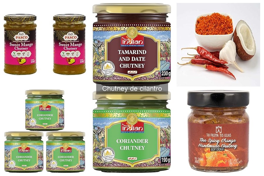 Cómo usar chutney de cilantro en tus platos sabrosos