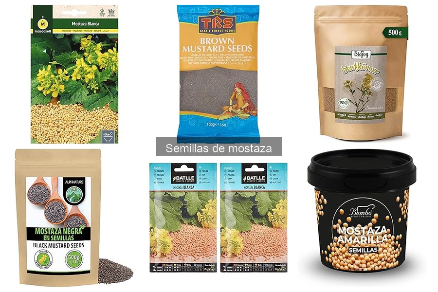 Cómo usar semillas de mostaza en la cocina: recetas y tips