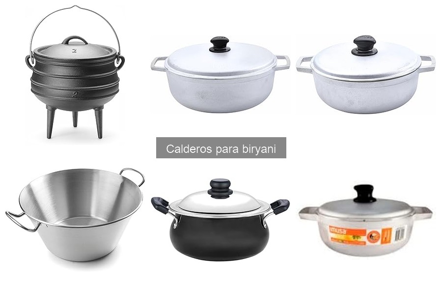 Comparativa de calderos para biryani: Mejores marcas y precios
