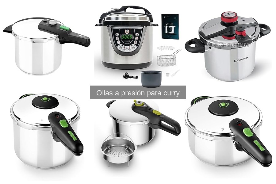 Comparativa: Ollas a presión eléctricas vs. inducción para curry