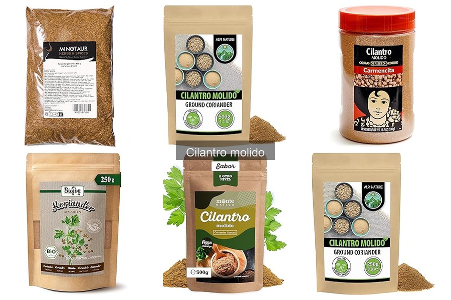Diferencias entre cilantro molido y fresco: ¿cuál elegir?