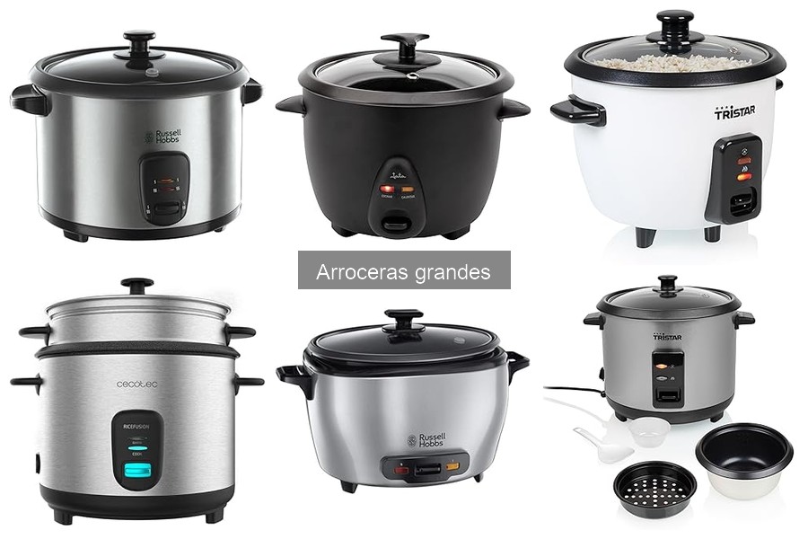 Dónde comprar arroceras grandes a buen precio en línea