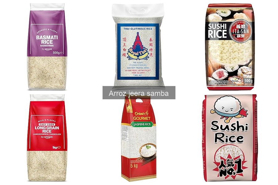 Dónde comprar arroz jeera samba: precios y mejores tiendas