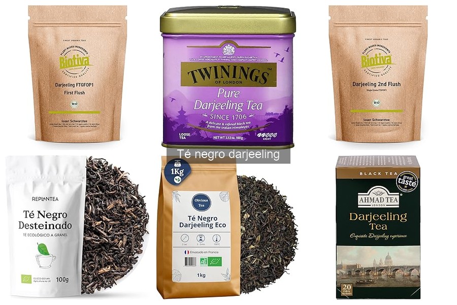 ¿Dónde comprar té negro Darjeeling? Mejores opciones online