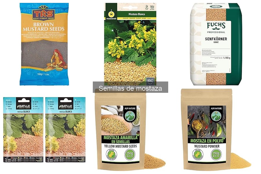 Efectos secundarios y precauciones de las semillas de mostaza