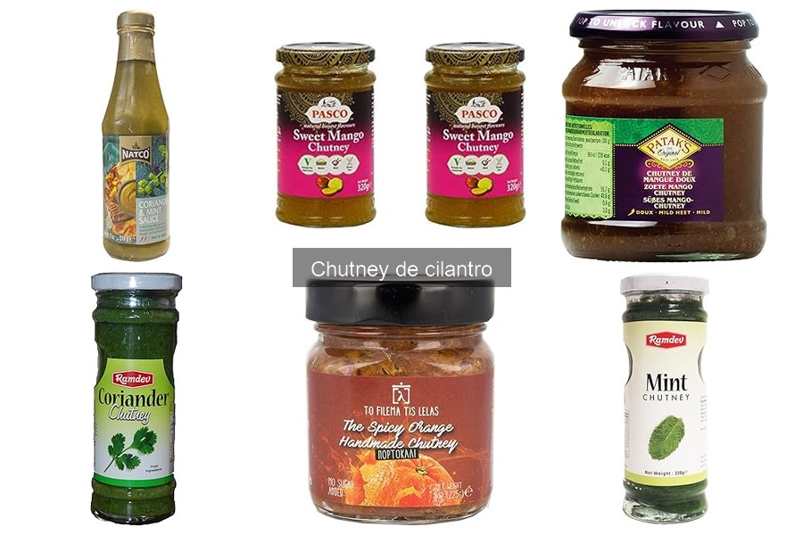 Estilos de chutney de cilantro en India y Pakistán