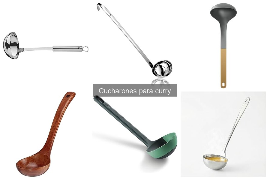 Guía de compra de cucharones para curry: mejores opciones