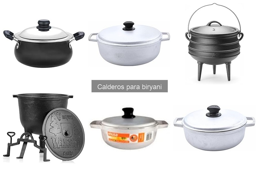 Guía de tamaños de calderos para biryani y su capacidad