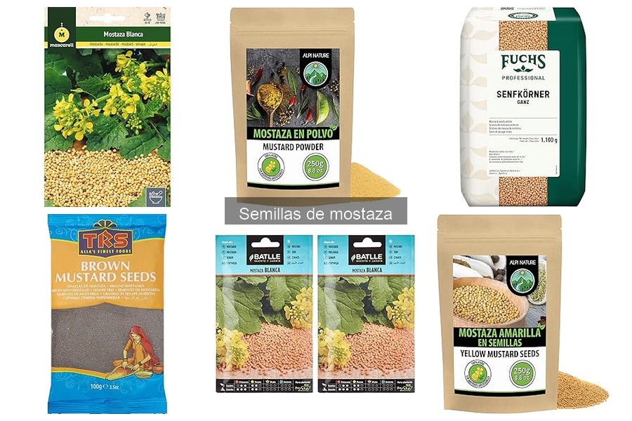 Guía para elegir semillas de mostaza adecuadas