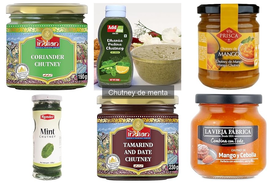 Ingredientes clave del chutney de menta: ¡descúbrelos!