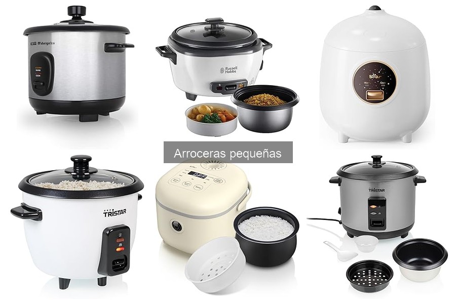Mantenimiento de Arroceras Pequeñas: Tips y Consejos