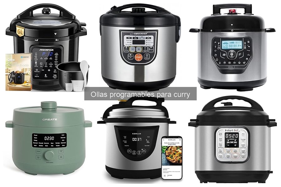 Mantenimiento de ollas programables para curry: Consejos útiles
