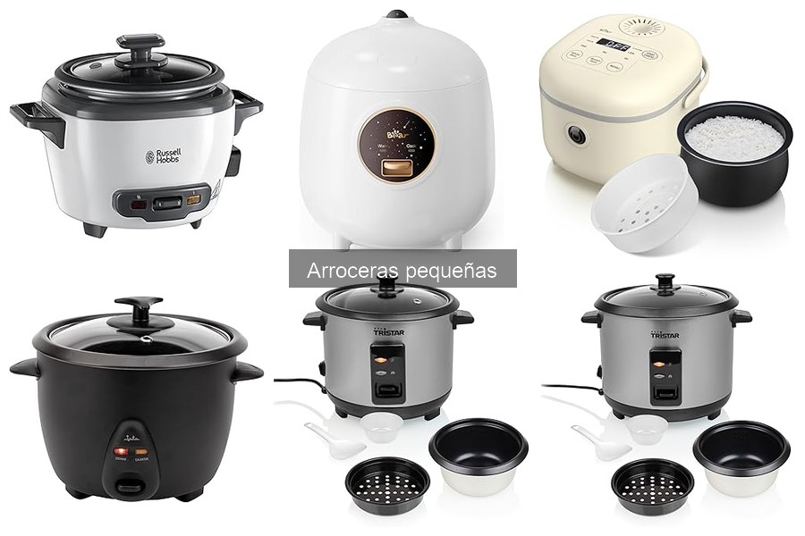 Mejor arrocera pequeña para parejas: Top 3 opciones