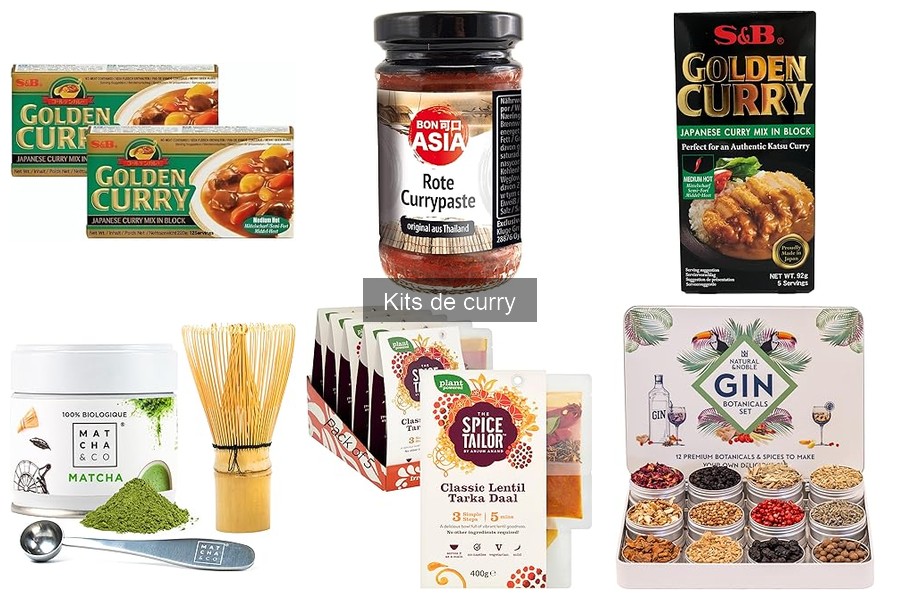 Mejores Kits de Curry para Principiantes