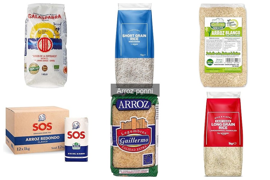 Mejores marcas de arroz ponni: comparación y análisis