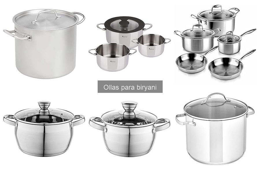 Mejores ollas para biryani en 2023: Guía de compras