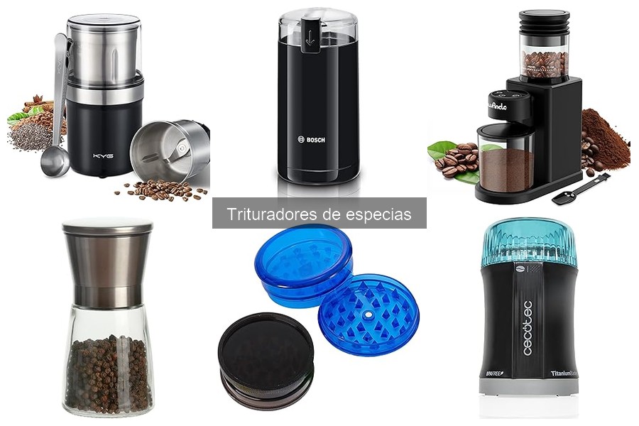 Mejores trituradores de especias para cocina india