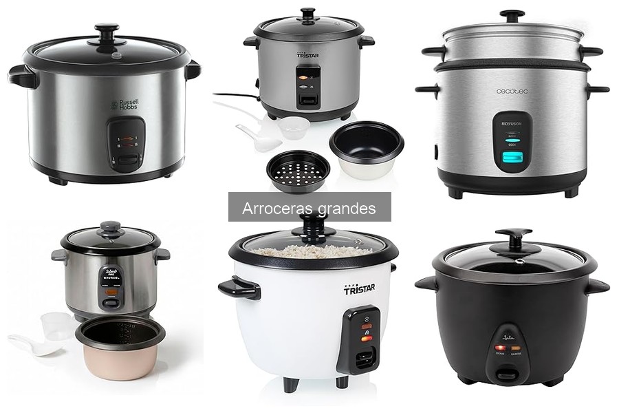 Opiniones sobre arroceras grandes: Russell Hobbs y más