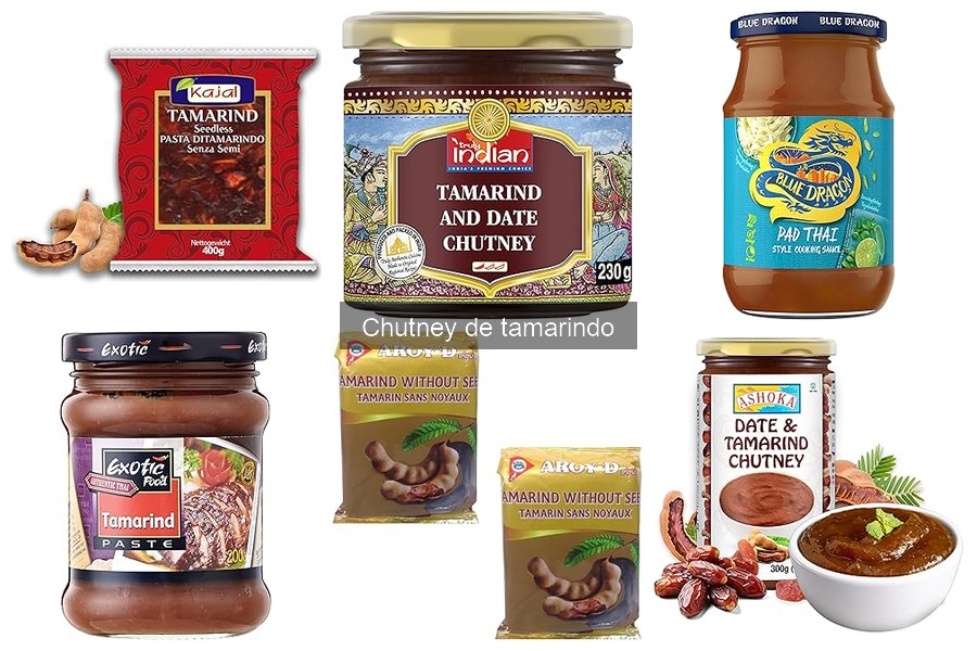 Platos ideales que combinan con chutney de tamarindo