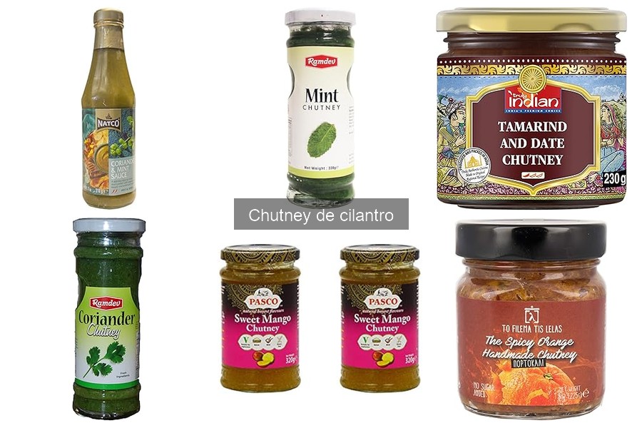 Platos que maridan con chutney de cilantro para disfrutar