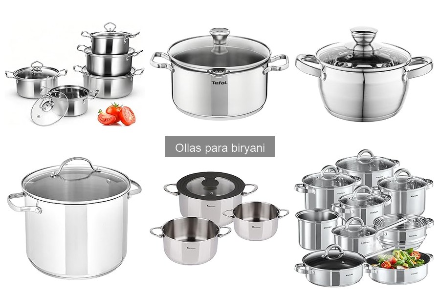 Problemas comunes al cocinar biryani y cómo solucionarlos