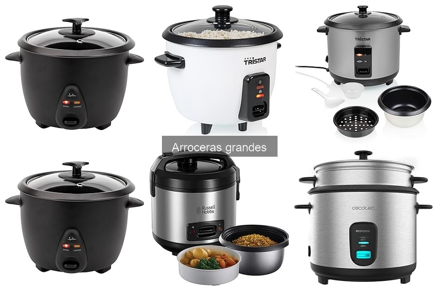 ¿Puedo cocinar otros alimentos en una arrocera grande?