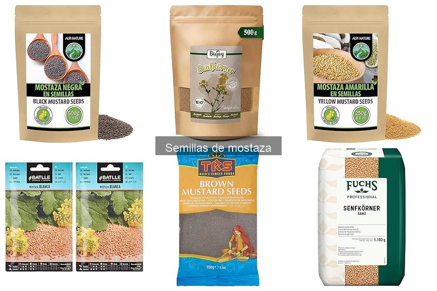 ¿Qué son las semillas de mostaza? Tipos y características