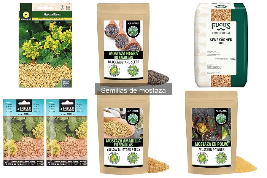 Recetas deliciosas con semillas de mostaza para disfrutar