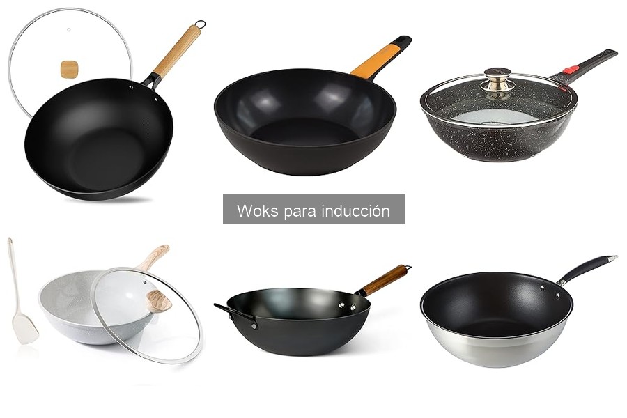 Recetas deliciosas para cocinar en un wok de inducción