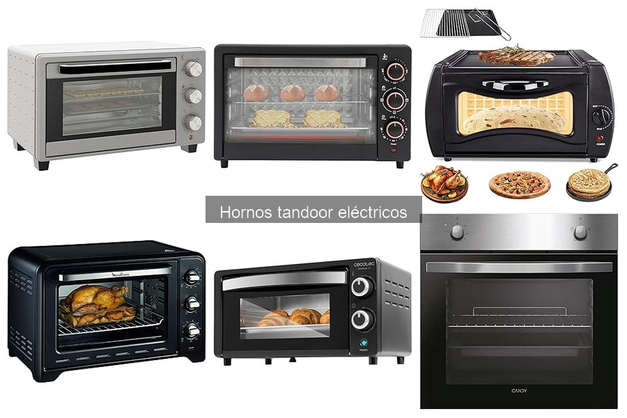 Recetas deliciosas para horno tandoor eléctrico en casa