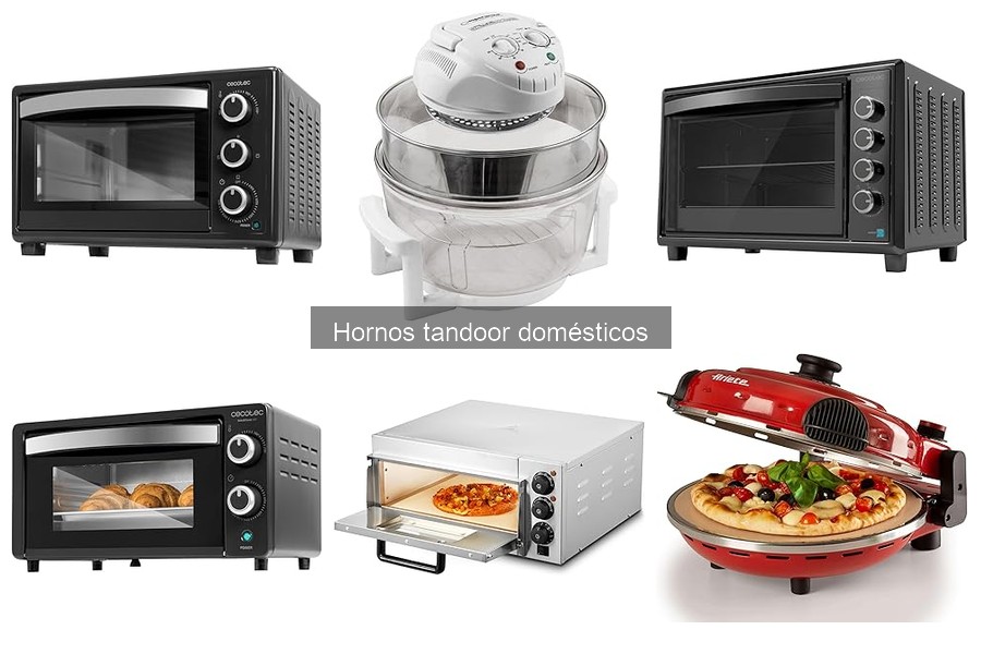 Recetas deliciosas para horno tandoor en casa