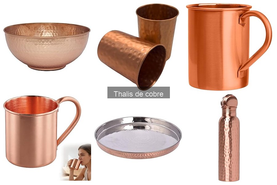 Recetas Exquisitas para Servir en un Thali de Cobre