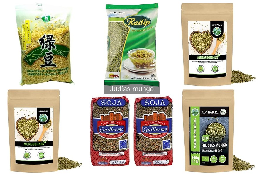 Recetas fáciles con judías mungo para disfrutar en casa