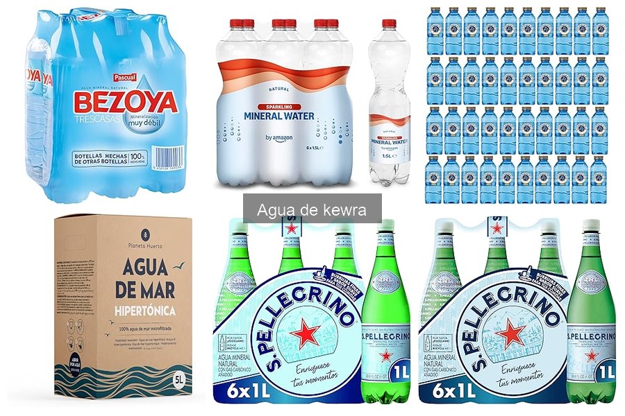 Recetas populares con agua de kewra para cocinar en casa
