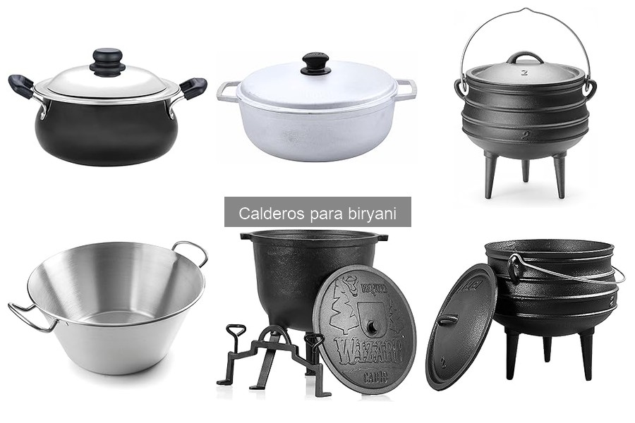 Reseñas de calderos para biryani: opiniones de usuarios